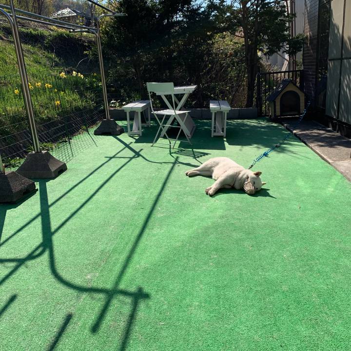 9341ad5d 6c6c 417b b05d 524be9c8a021 1556866049672