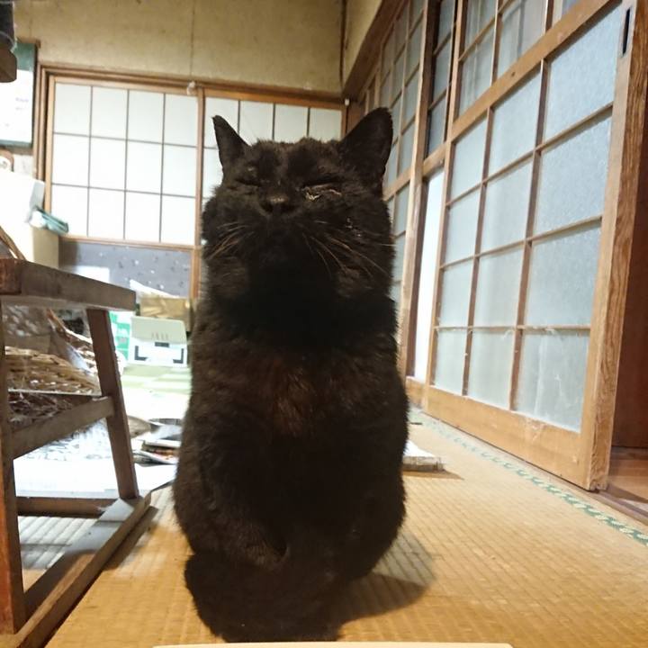 9341ecb0 aae2 4d9b 87b9 f37a22d1d3f2 1618061969907