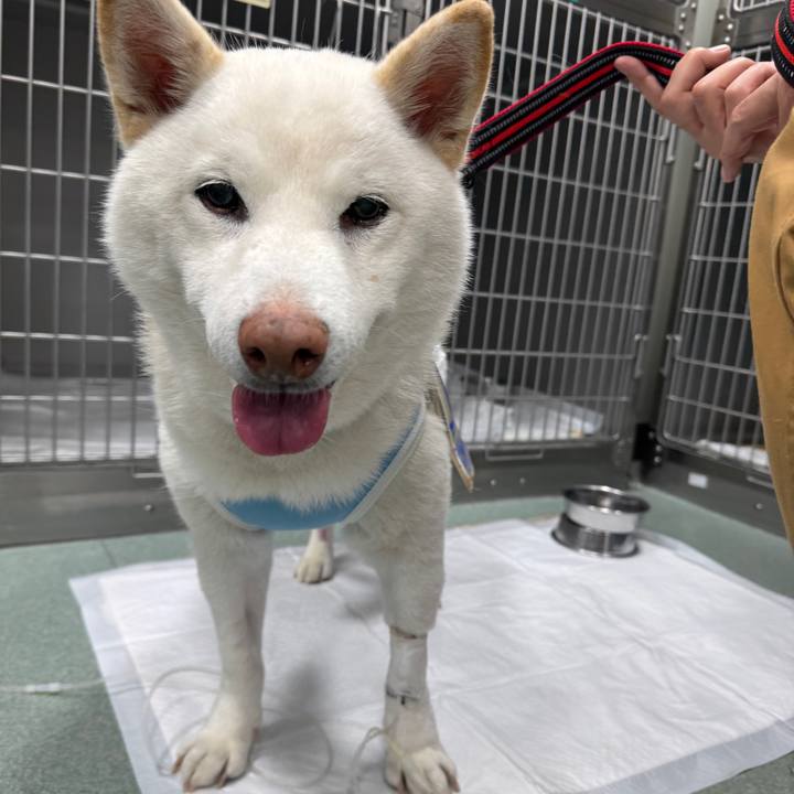 9341ecef d381 4d17 936c 646cc2761442 1768634488050