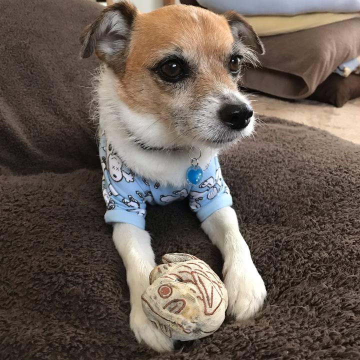 93420fde 890b 4073 9e5a 5ede0d53ff50 1560812111777