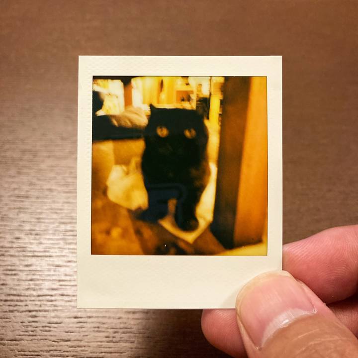 934240ff d293 4539 b11b 3b4602cee605 1622304170496