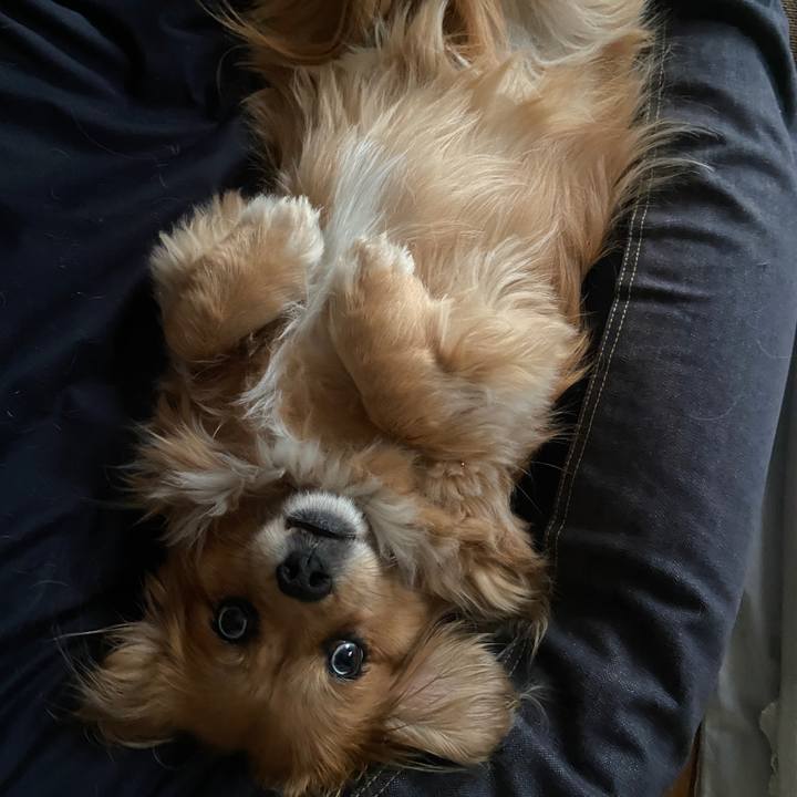 93424f2a 78a0 47d7 b5d9 94de97f3fd17 1650489841657