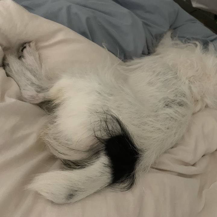 9342617b 83e5 405b a889 3d905b4804b6 1625581982197