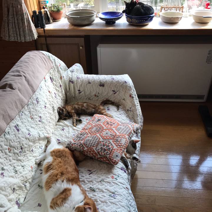 9342727c 2dd9 4057 ab93 89c6b6677f81 1604371919111