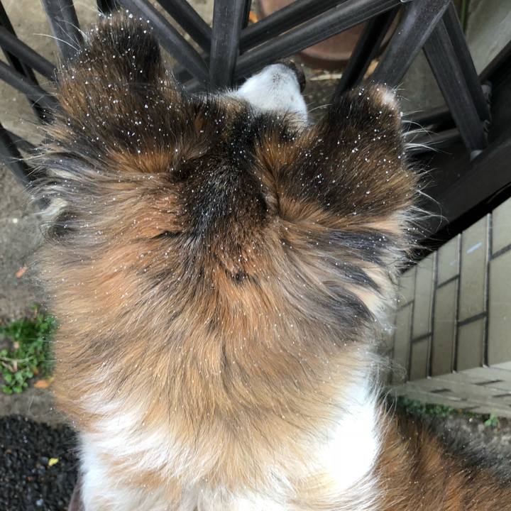 934285ef 1f69 4838 8fc4 95b72cacf2e7 1516577166133