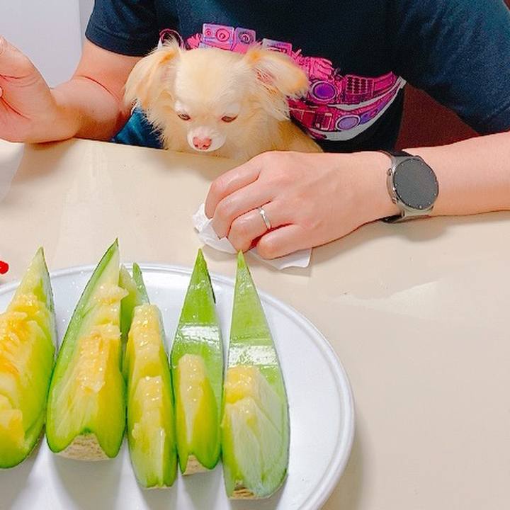 934289e0 6033 4645 8bea 337a15c0c746 1626081906398