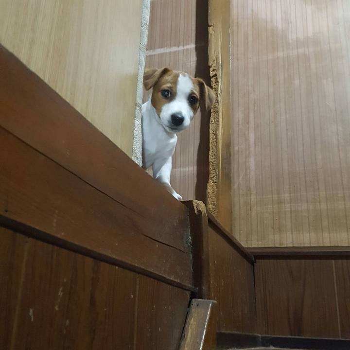 9342bccc 71ef 4b1c 8821 cbc562d892c3 1550302614688