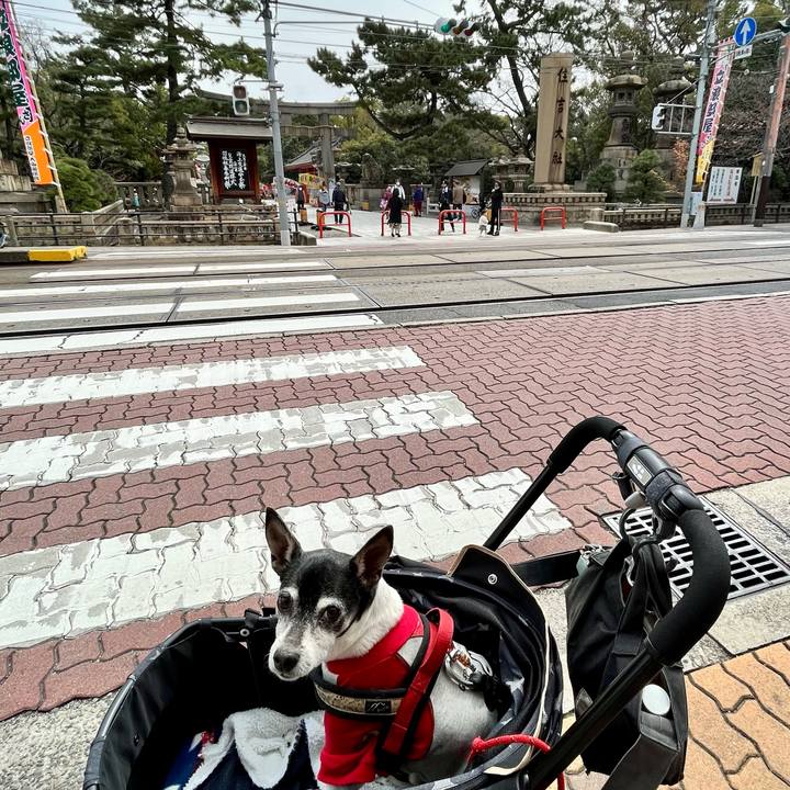 9342cc88 921a 4ed5 94d4 a4177bd9a0f0 1647834313401