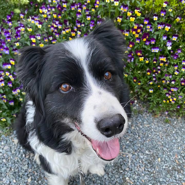 9342d856 6db4 435a af2d eb91d595742d 1618913206900