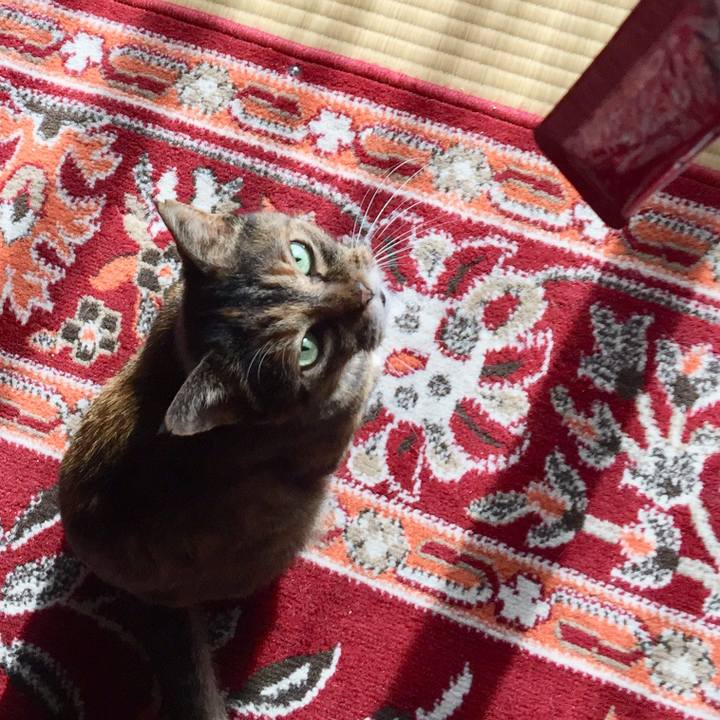 9342d96c a531 49db 8bb2 2223a8904fae 1579665924054