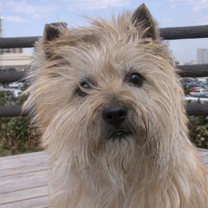 9342e234 4ab7 45d1 a412 26ac2685c1bc 1535869250354