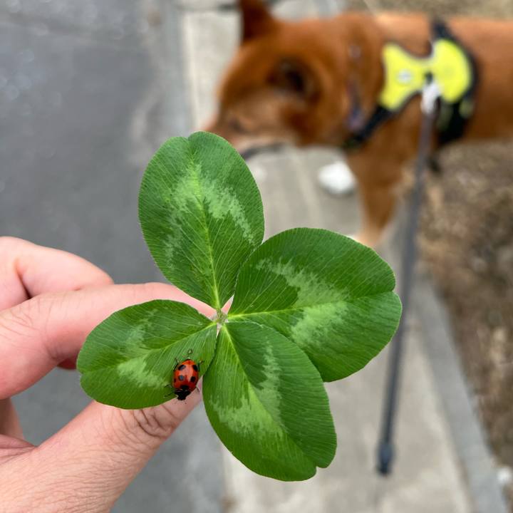 9342e430 61a7 491d a4ef 7c7a696721af 1716083186226