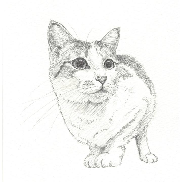 93431e0e 4a04 44f6 983c a2ff02a24daf 1546690528248