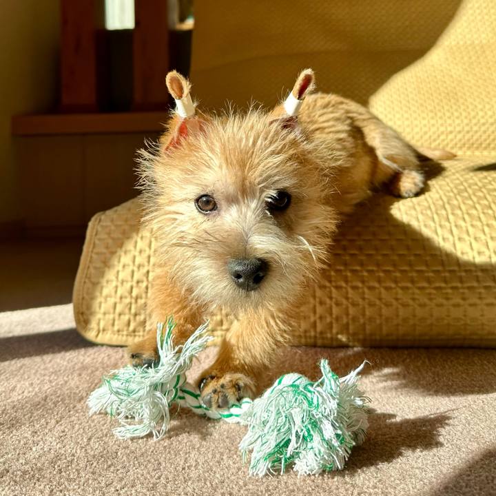 93433505 2602 4e5a acb6 1dbe634be2e9 1705499958300