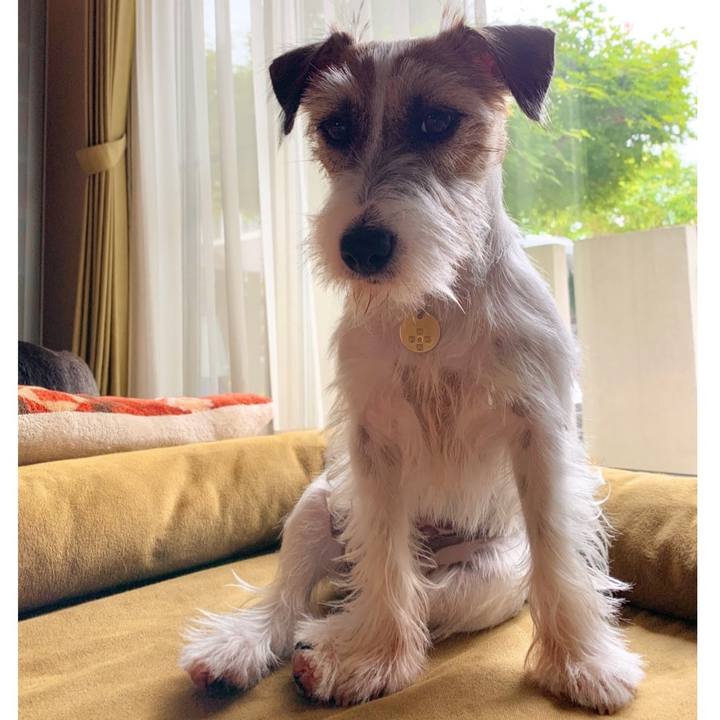 93435f05 27b5 4af6 8f1d 2bb267495a32 1594881046786