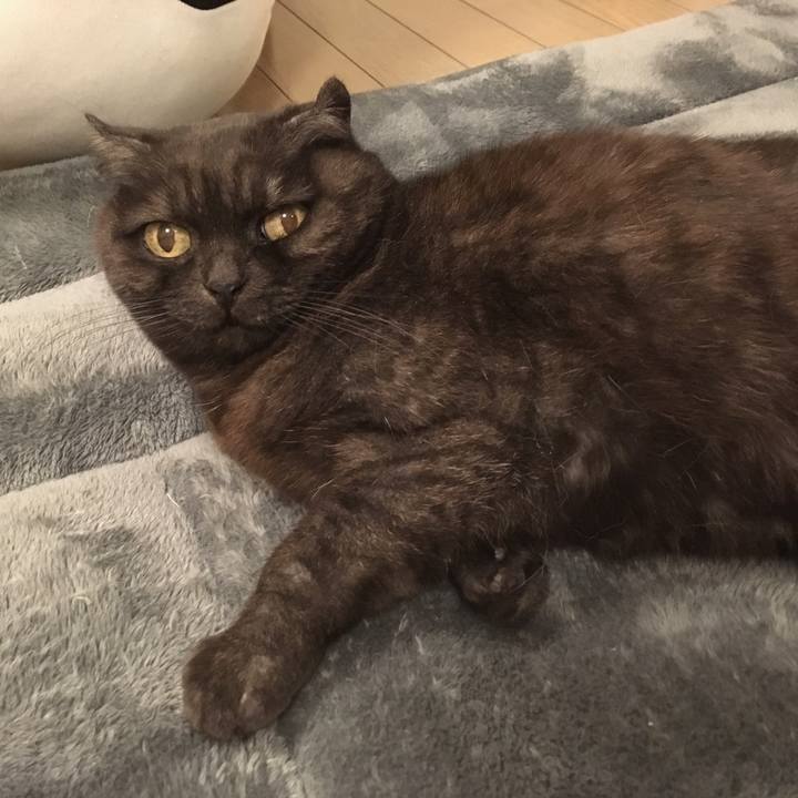 9343b47d adaa 4d4a b46f a92c760569c7 1551806337383