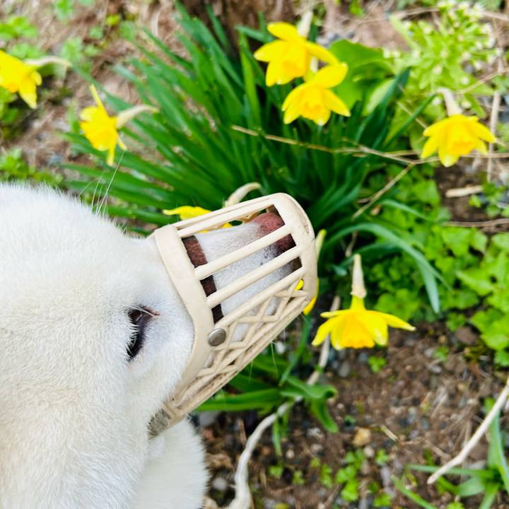 9343ecb1 bc3f 438d 91b9 04167f0cbf28 1682459091242