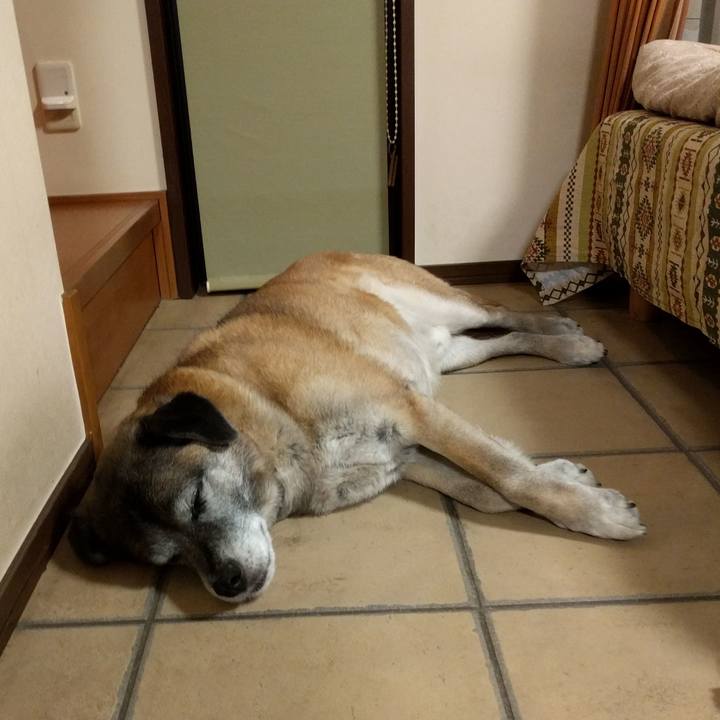 9343f99e 5c35 4756 9f67 7401bdc7fc09 1521064200726