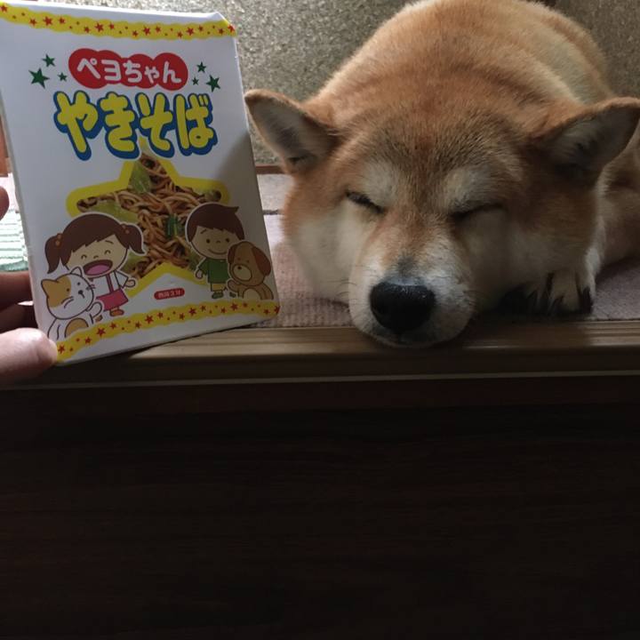 934455b9 eb59 462b aa09 025a6910b457 1620349052081