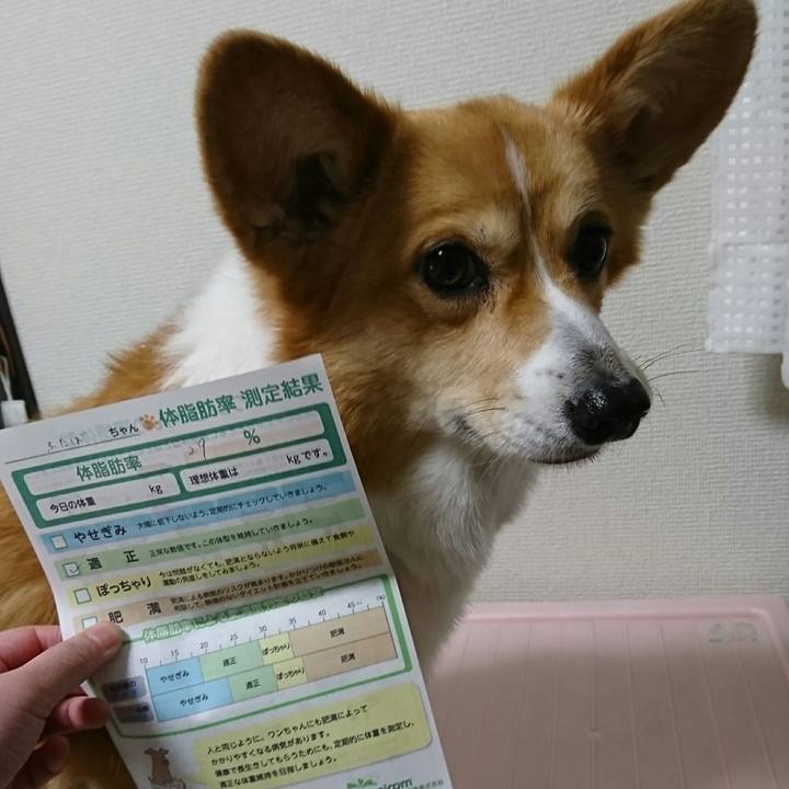 9344642d 7c98 46c3 bd0a afd2eafe6243 1553912474662