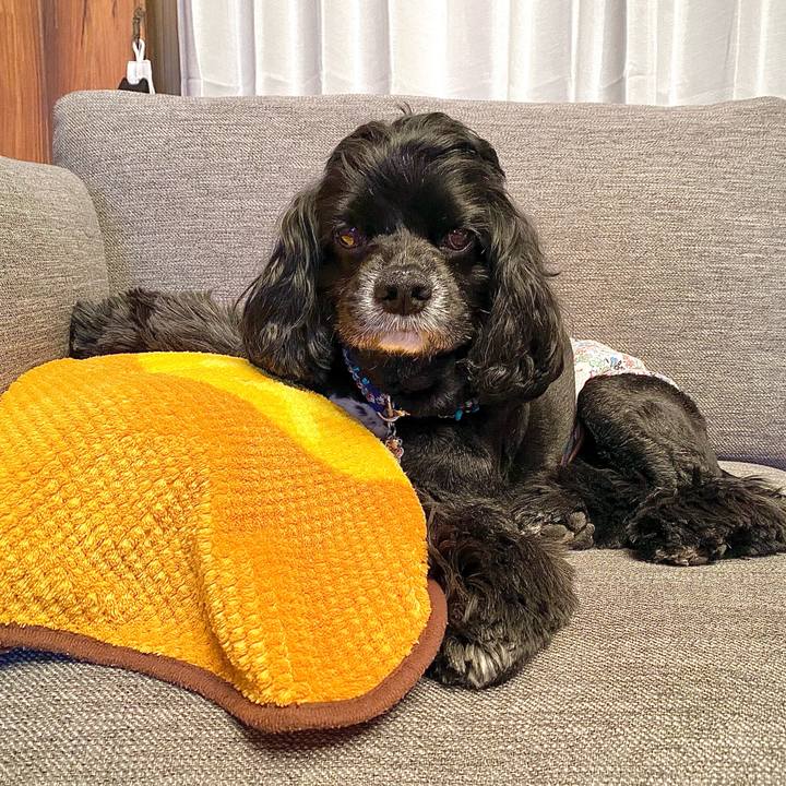 93449796 0c47 45ee 9522 1cfdb845e391 1645357990328