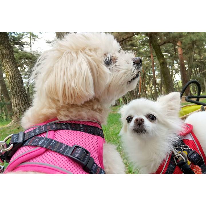 9344a994 1f0c 40d9 9dd3 e94b214040be 1652983652730