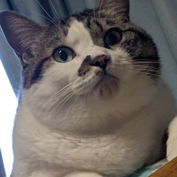 9344b1e0 47a4 4f5c b277 367a89de64b8 1757106645711