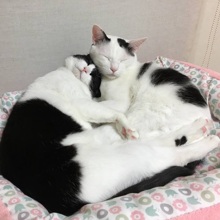 9344d058 7dab 4195 ba81 778593a74f60 1520685193075