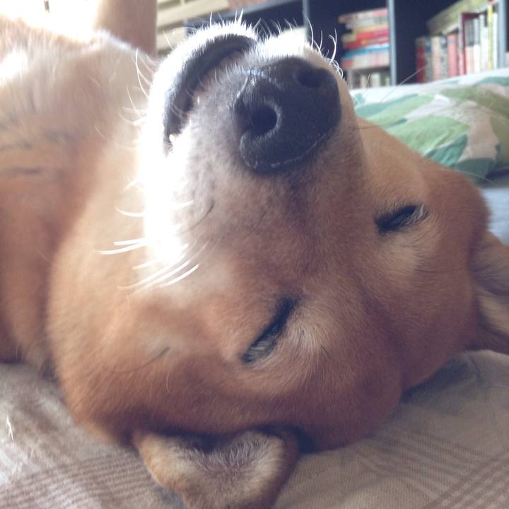 93452878 b846 4582 8013 109f802cb520 1540203531075