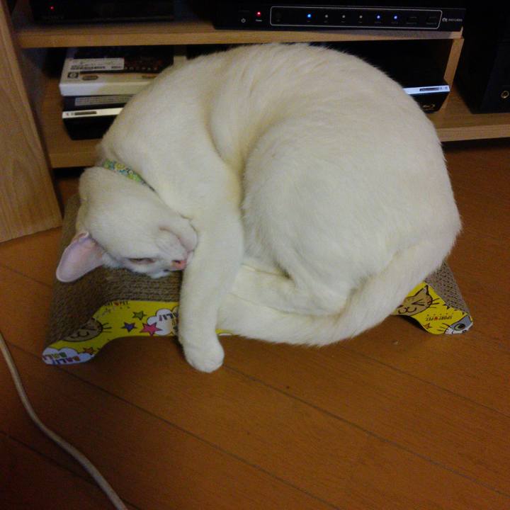 934530fc b367 4315 b50d f47918b49f47 1519905764097