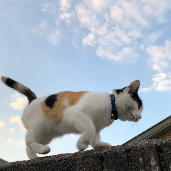 93455864 d4a9 4d1a be21 63ec56c350f4 1635545046225