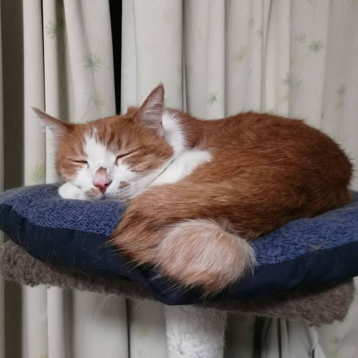 93456dfe cd80 4867 8845 130c8f22e018 1665664429932