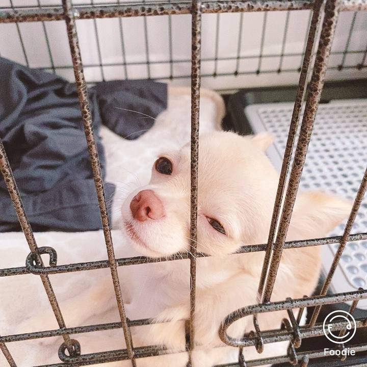 934577b2 b98e 4dc9 bf76 5c4dce325c55 1598583152331