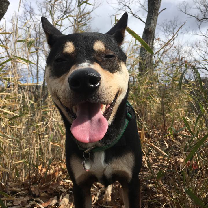 93457d6d f702 40a1 91fb 841a9f05cfef 1519875582308