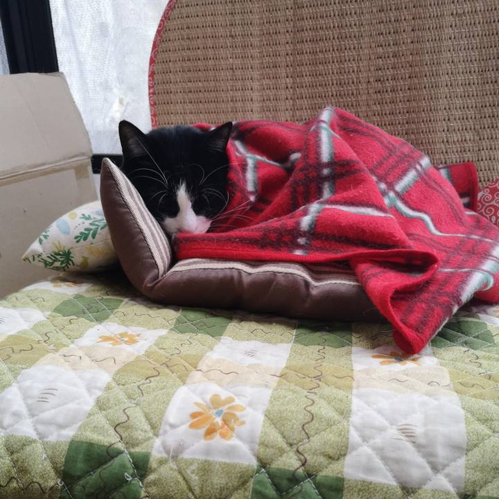 9345ab55 514f 4f2a 8d8e ba9fd9e76732 1668572627638