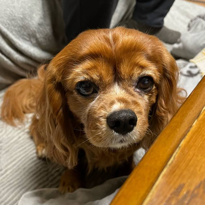 9345cf52 fa58 4472 9e89 efb6b86135ce 1676500147709