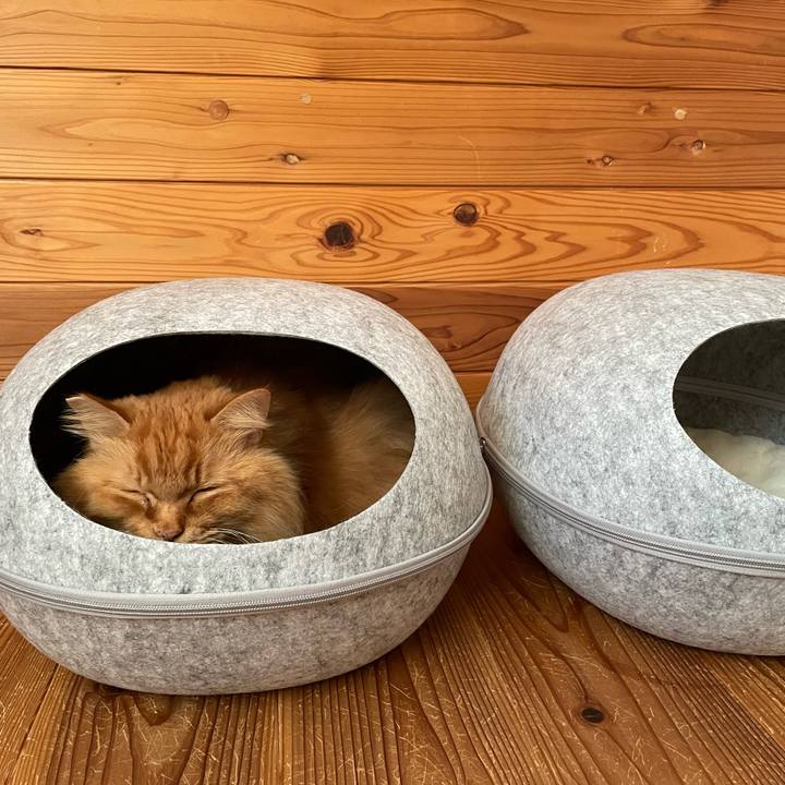 9345ec6e cb92 4147 94df ca12bba8dd23 1733955720285