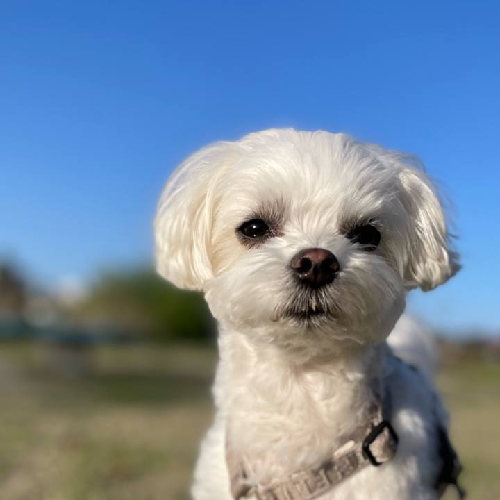 9345f55e 984a 4cda a469 bc3a3c6bb8d1 1776471738812