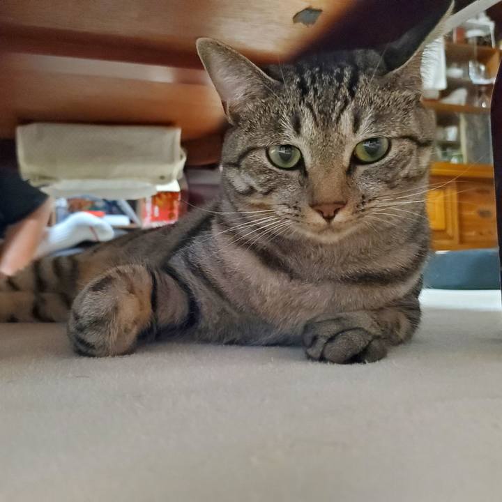 9345f849 32ca 4630 8e1f e5755680156e 1696416442239