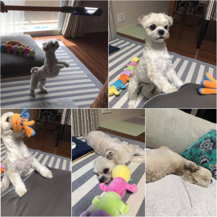 934615c1 e6f5 4ab7 9d29 7e21b9f424b1 1523447526914