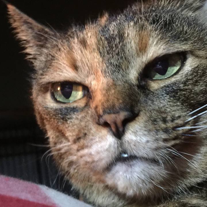 93464f3b 2b9f 4f32 af91 b0cda5507d65 1520595803219