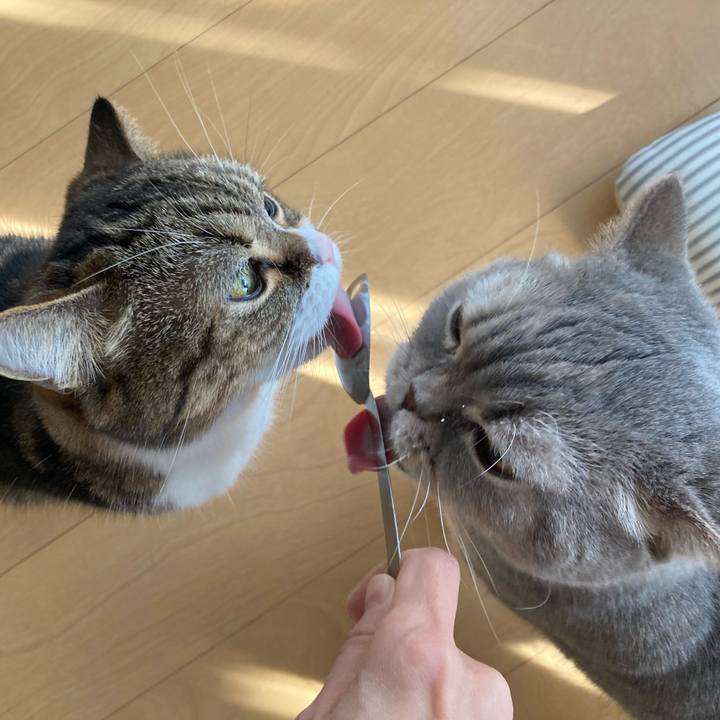 934671a0 6189 4a26 a7bc 343a43cd5a8a 1771032719406