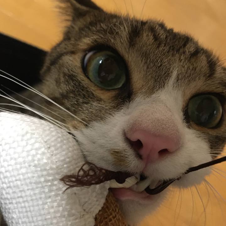 934682aa abeb 43f4 86db 2bccf8879b6e 1707526335434