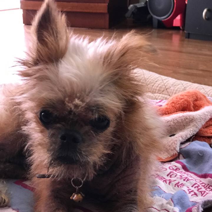 934693ff 13b7 4042 920c 3ded370dbf64 1535676270451