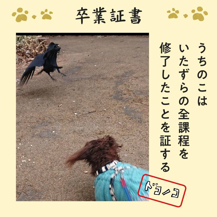 9346a046 a915 4eda a1ae 06785c20a3cc 1772056221452