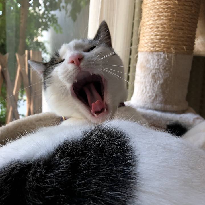 9346dcd2 520e 46bb 8945 e73c3a5aa33f 1656406116876