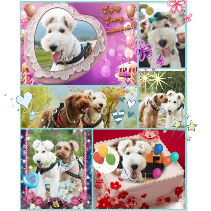 9346eb9c 58e9 4514 b2f3 80245c247d1f 1537177579698