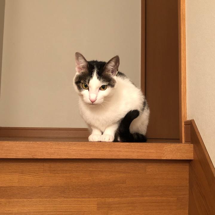 9346fad5 b660 4e24 b80b 6e81f1e01e71 1604784467187