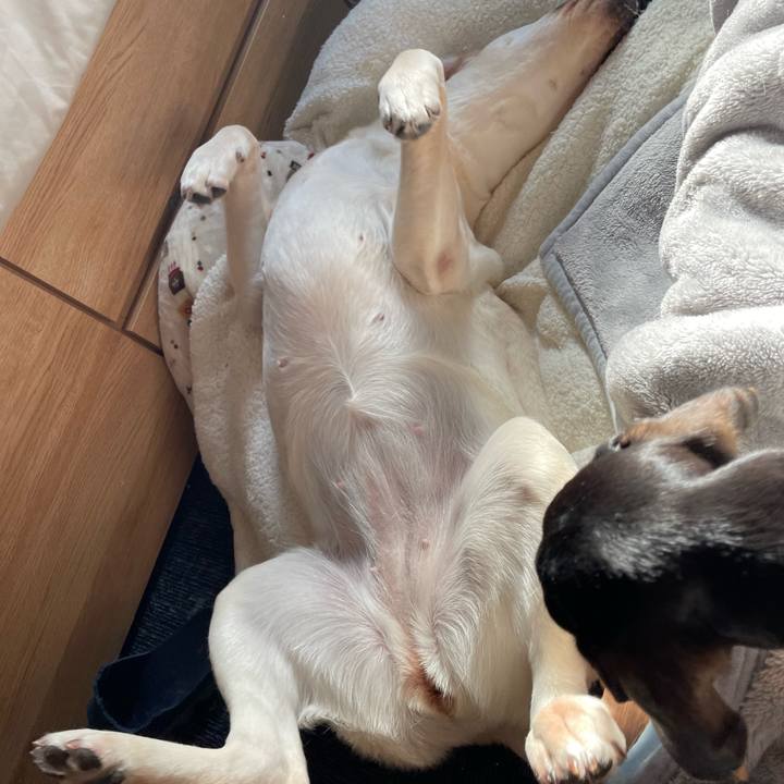 93470014 34a4 45f9 8505 c2b62fcb087e 1640394509107