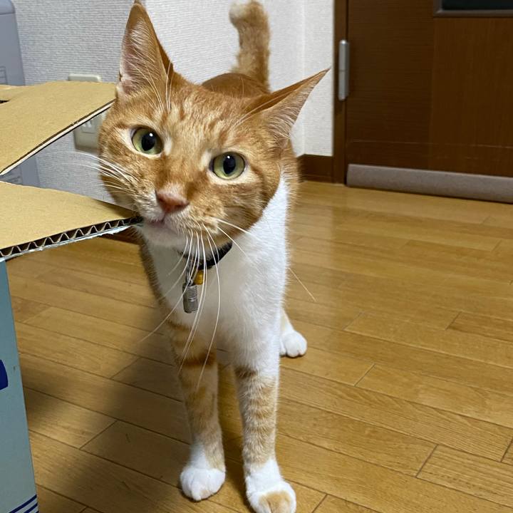 93471b9f 0f49 4d70 938b 2ac26ae7d619 1691152895258